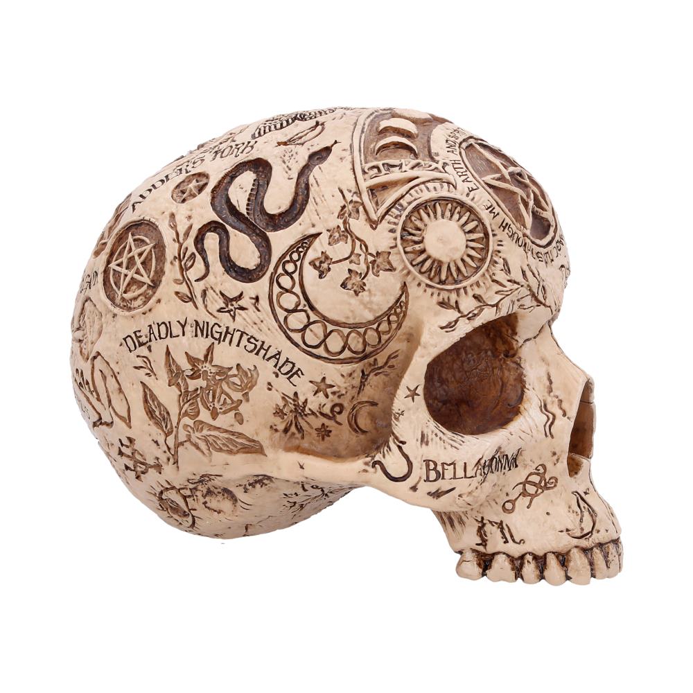 Apothecary Skull Figurine 14cm