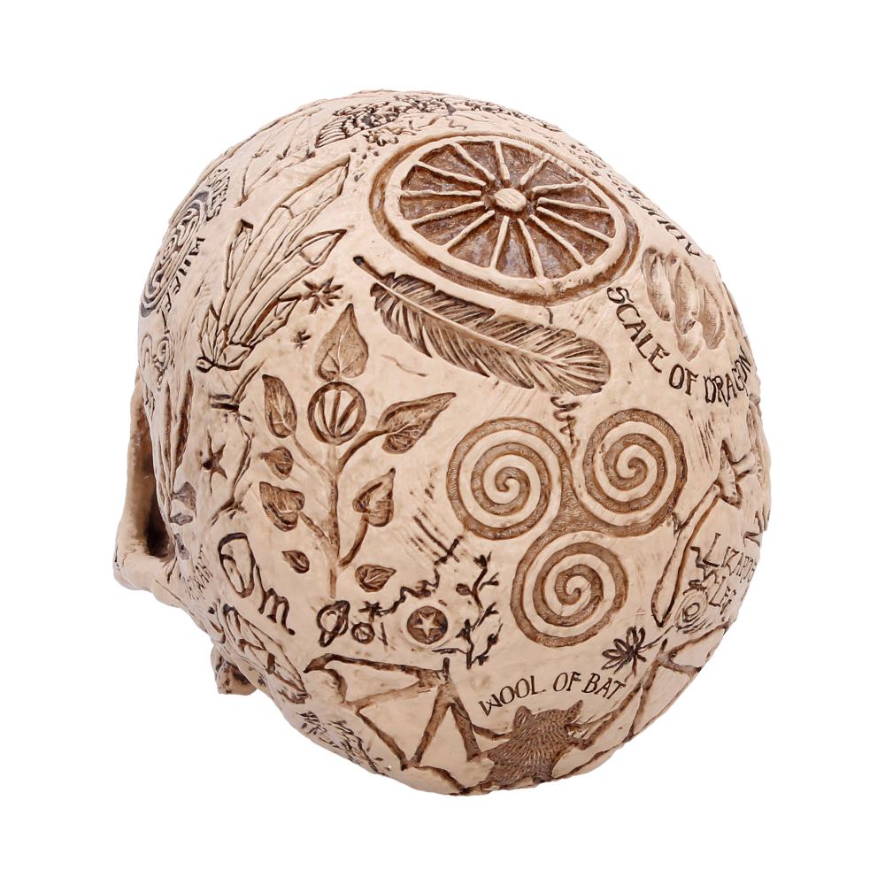 Apothecary Skull Figurine 14cm