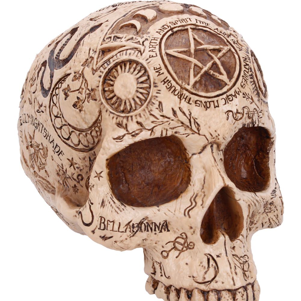 Apothecary Skull Figurine 14cm