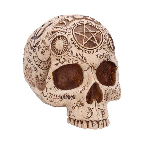 Apothecary Skull Figurine 14cm