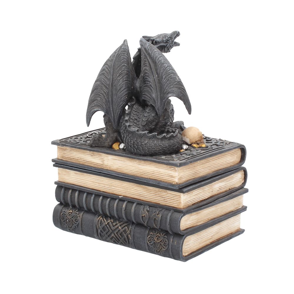 Secrets Of The Dragon 19cm